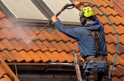Démoussage et hydrofuge de toiture à Genas